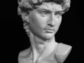 Bust of David_2012-2016_carta_69x48x48 cm
